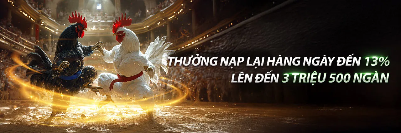 Đấu trường đá gà sôi động tại okkinh trang chủ chính thức